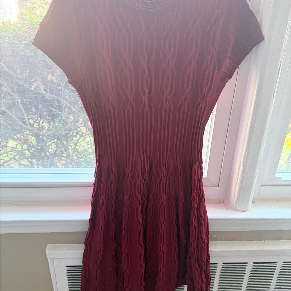 The Kooples Deep Red Mini Dress